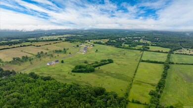 Tract 4 Castleberry Rd, Greenbrier, AR 72058 - photo 5