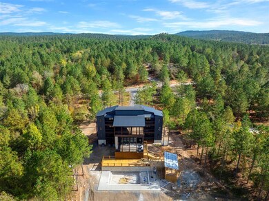 Aerial view of a forest