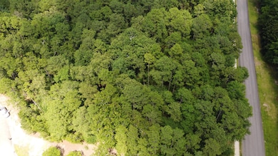 102 White Birch Ct, Aiken, SC 29803 - photo 3