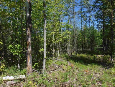 3 Old Bradley Rd unit 3, Saint Johnsbury, VT 05819 - photo 7