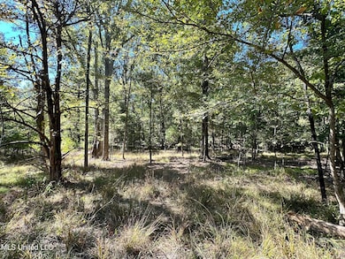 0 St Augustine Dr unit 4129175, Madison, MS 39110 - photo 4