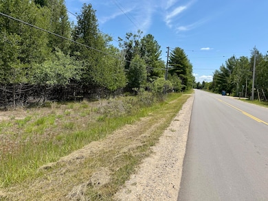 2 Seymour St, Onekama Township, MI 49675 - photo 4