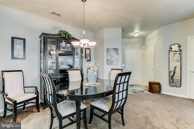 2507 Amber Orchard Ct W unit U203, Odenton, MD 21113 - photo 4