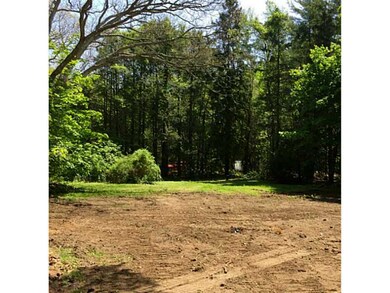 Yard/Garden.