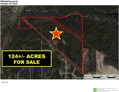 TBD Wild Pecan Dr, Tomball, TX 77375 - photo 2