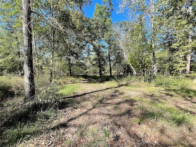 25399 Brushy Creek Dr, Hockley, TX 77447 - photo 6