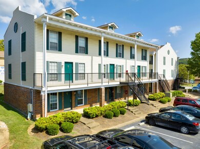 900-Mountain-Creek-Rd-High-Res-Photos-13
