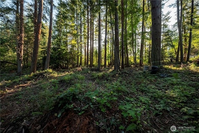 0 Ships Haven Dr unit NWM2414859, Freeland, WA 98249 - photo 7