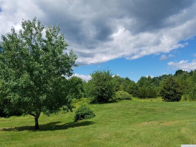 181 Nevis Rd, Tivoli, NY 12583 - photo 3