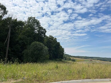 8154 Elda Ct, Dubuque, IA 52003 - photo 4