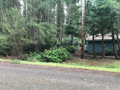 11308 Admiralty Way unit AI, Anderson Island, WA 98303 - photo 5