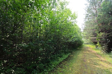 28XX Junction Rd, Ashland, WI 54806 - photo 6