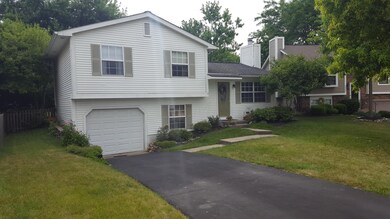 4951 Cavan Ct 4