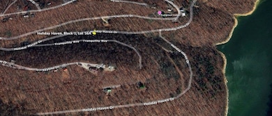 0 Tranquility Way, Smithville, TN 37166 - photo 6