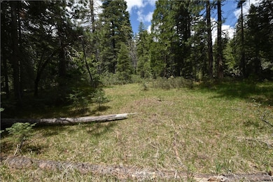 0 Fumarole Dr unit SN25120276, McCloud, CA 96057 - photo 4