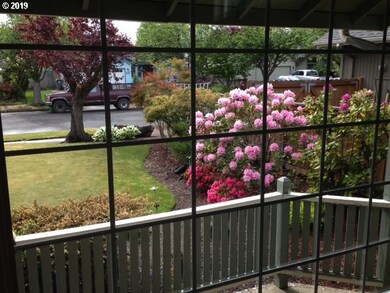 Front Yard