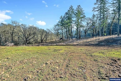 25845 Gap Rd, Brownsville, OR 97327 - photo 7