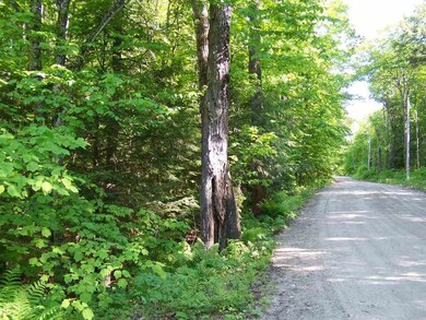 Lot 48 Dean and Hoyt Brook Rd, Danbury, NH 03230 - photo 5