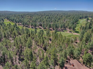 4041 W. Ninebark Torreon Land for Sale 9