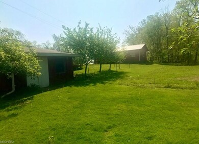 Cellar and Fruit Trees