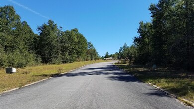 Majestic Oaks Vineyard (10-31-17) (8)
