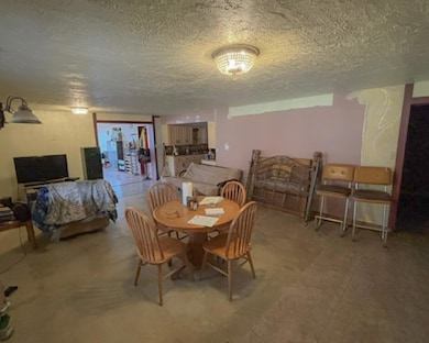 38 Mule Ln, Mount Vernon, KY 40456 - photo 6