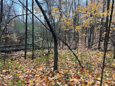 ON Sunset Rd, Elcho, WI 54428 - photo 5