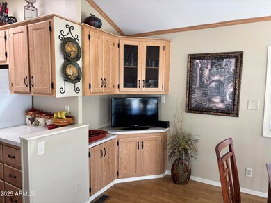 200 Nightdigger Dr, Apache Junction, AZ 85119 - photo 7