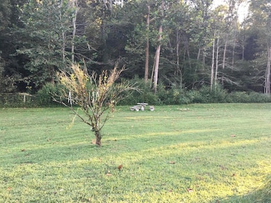 12729 Highway 192, Somerset, KY 42501 - photo 3