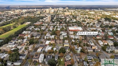 217 E Park Ave, Savannah, GA 31401 - photo 2
