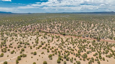 009_Aerial 9