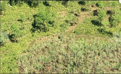 0 Dill Rd unit MFRO6233811, Orlando, FL 32820 - photo 3