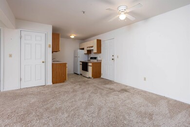 209 Hildred Dr, Burlington, VT 05401 - photo 7