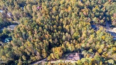 02-DJI_0154