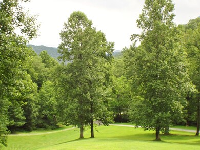 Gorgeous Trees