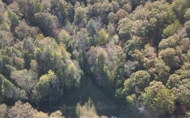 Additional View