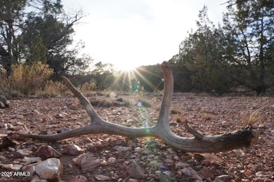 ash fork 7