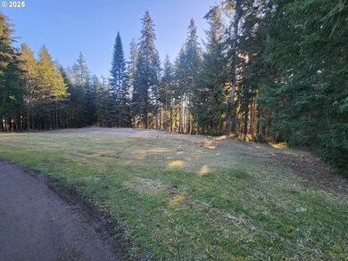 173 Jims View Rd, Castlerock, WA 98611 - photo 4