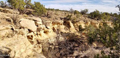 Woodland valley 36