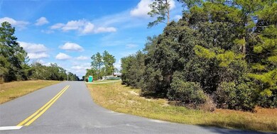 0 SW 18th Ave unit 4 OM630772, Ocala, FL 34473 - photo 2