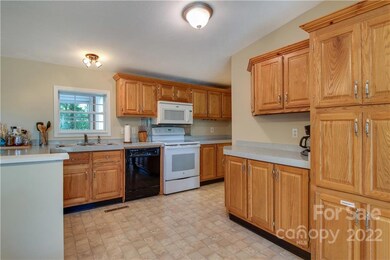 67 Sandy Hill Ln, Hendersonville, NC 28792 - photo 4