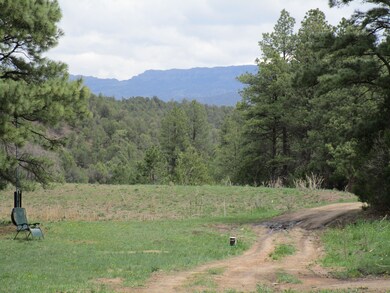 33089 Lodgepole Trace, Trinidad, CO 81082 - photo 5