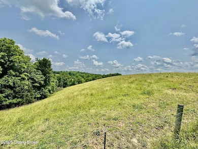 3500 Baker Ridge Rd, Willisburg, KY 40078 - photo 3