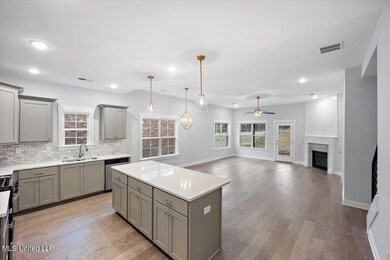 7588 Crosswinds Blvd, Hernando, MS 38632 - photo 3