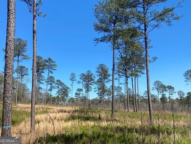 709 Giles Rd, Forsyth, GA 31029 - photo 5