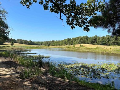 12187 County Road 215, Tyler, TX 75707 - photo 3