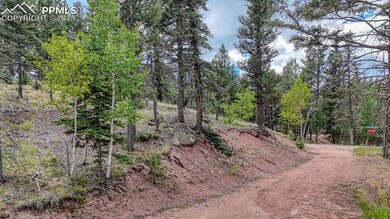 18 Falcon Cir, Florissant, CO 80816 - photo 5