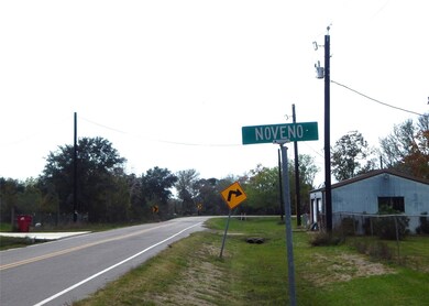 0 Noveno Dr, Brazoria, TX 77422 - photo 3