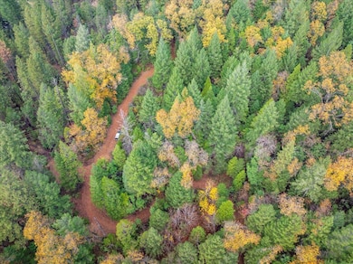 0 Kentucky Flat Rd unit 225140786, Georgetown, CA 95634 - photo 6