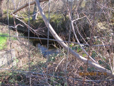 more creek